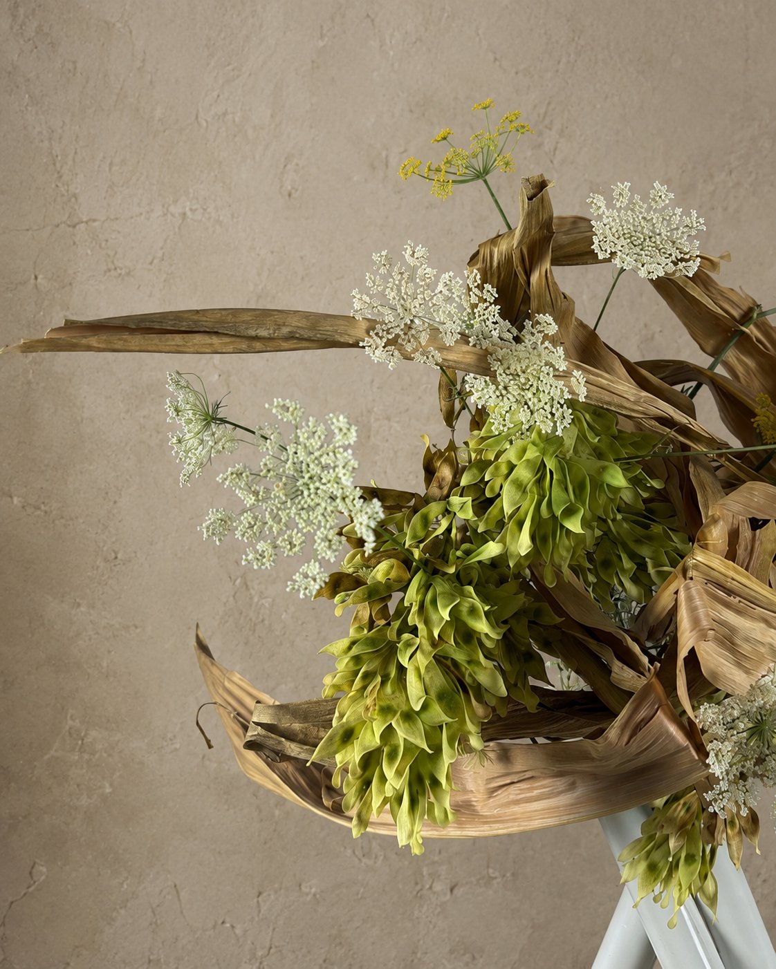 Dettaglio di fiori bianchi a ombrello e foglie secche