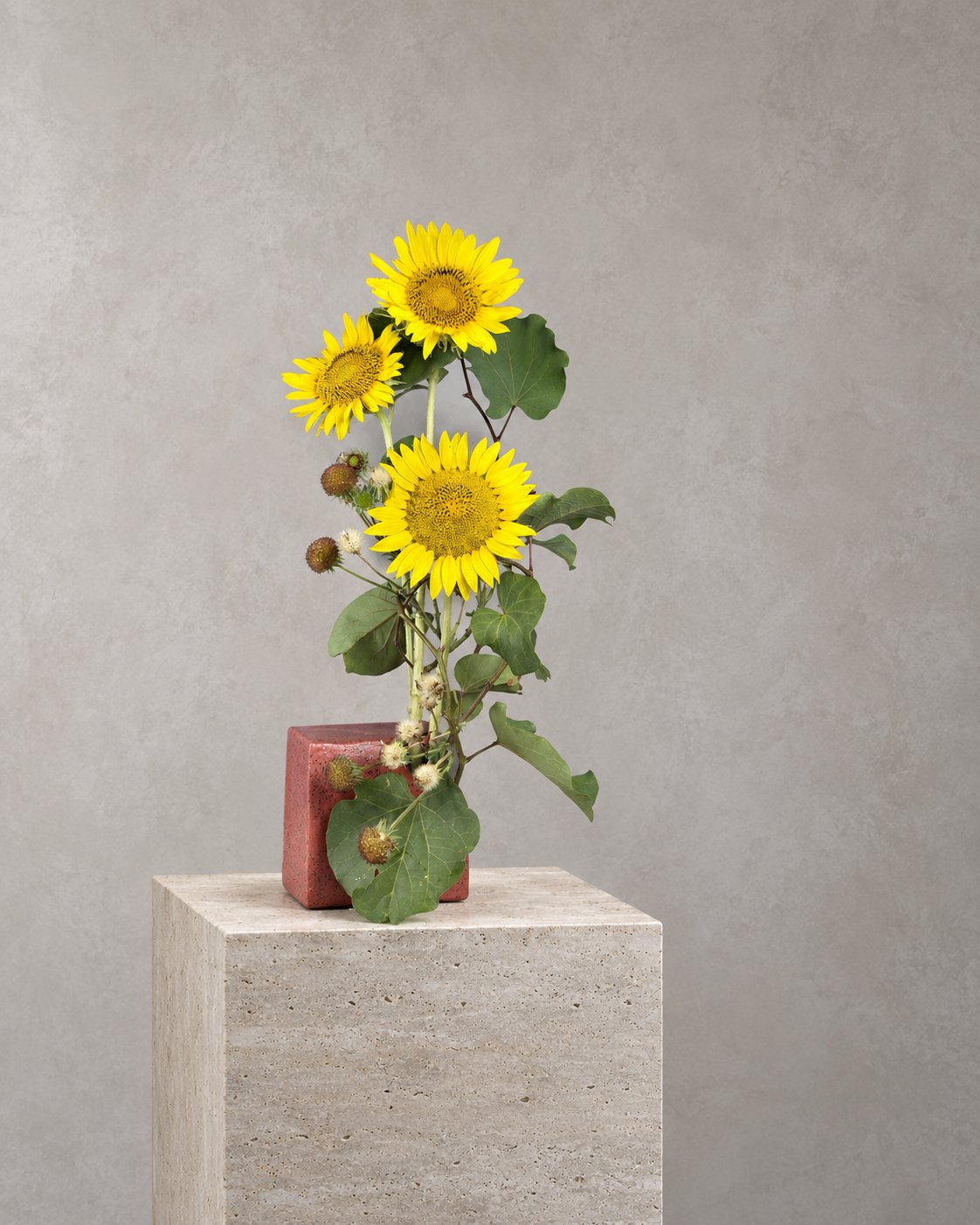 Dettaglio dei girasoli